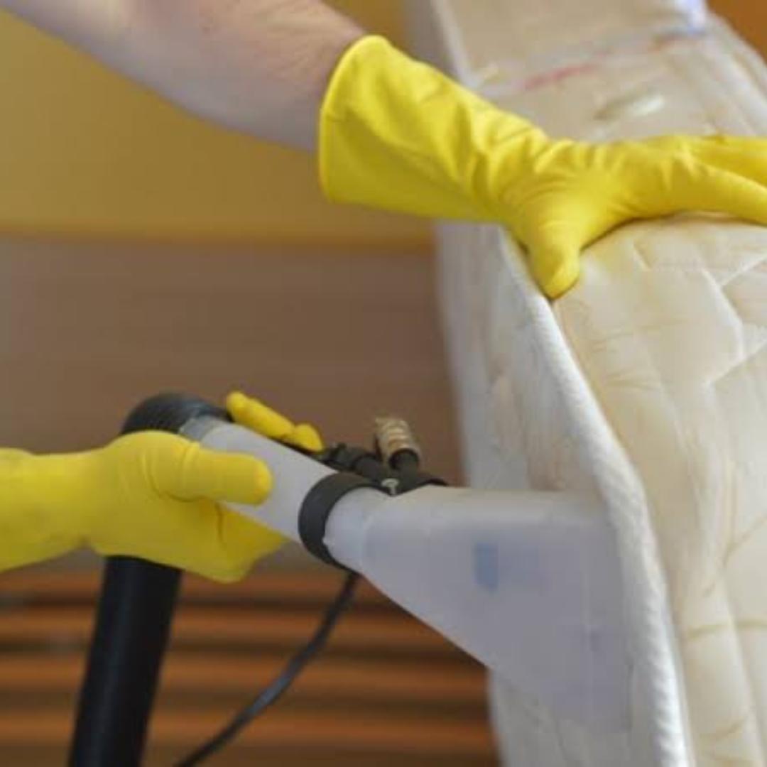 WhatsApp Image 2024-10-11 at 09.50.52 (1)