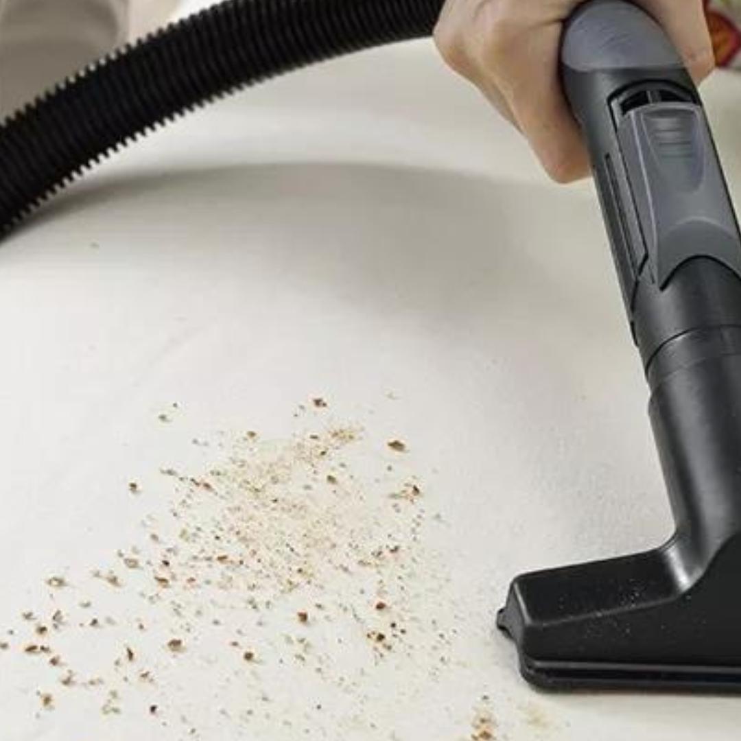 WhatsApp Image 2024-10-11 at 14.32.42 (1)