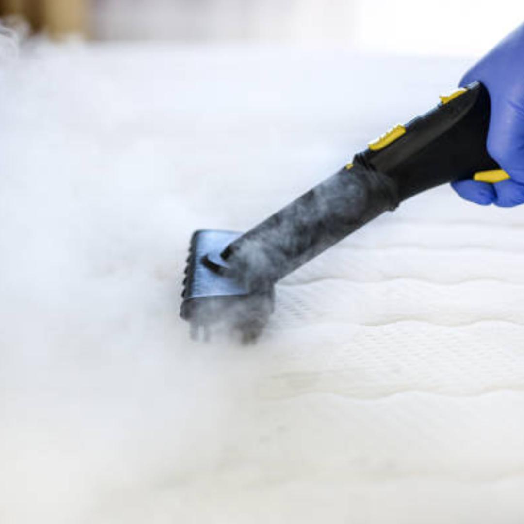 WhatsApp Image 2024-10-11 at 14.32.42